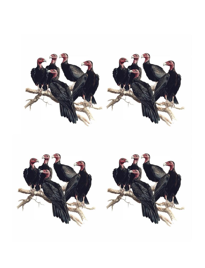 Put a Bird On It eBook page 75 — [object Object]