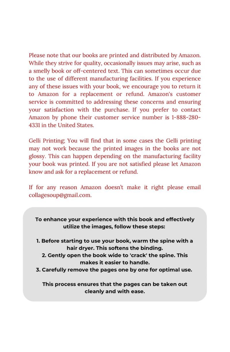Rise: Celebrating Human Diversity | eBook page 4 — [object Object]