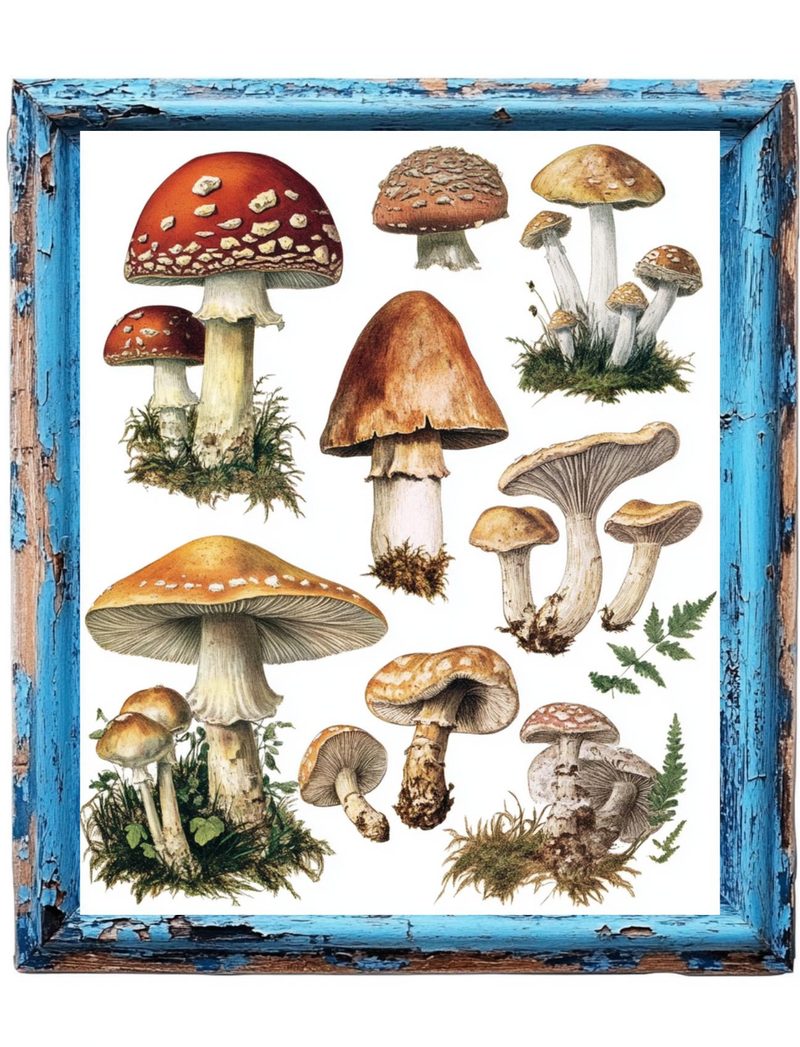 Shrooms & Blooms eBook page 72 — [object Object]