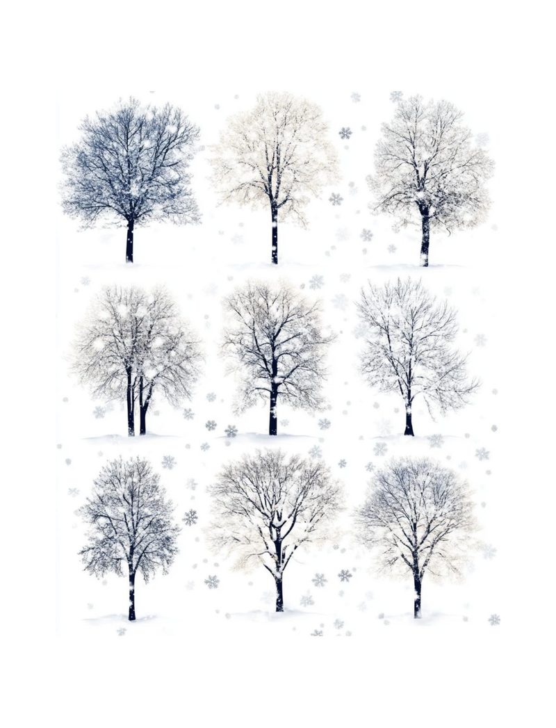 Snow Biz eBook page 73 — [object Object]