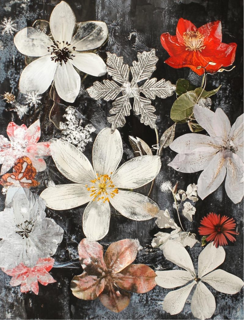 Snow Biz eBook page 88 — [object Object]