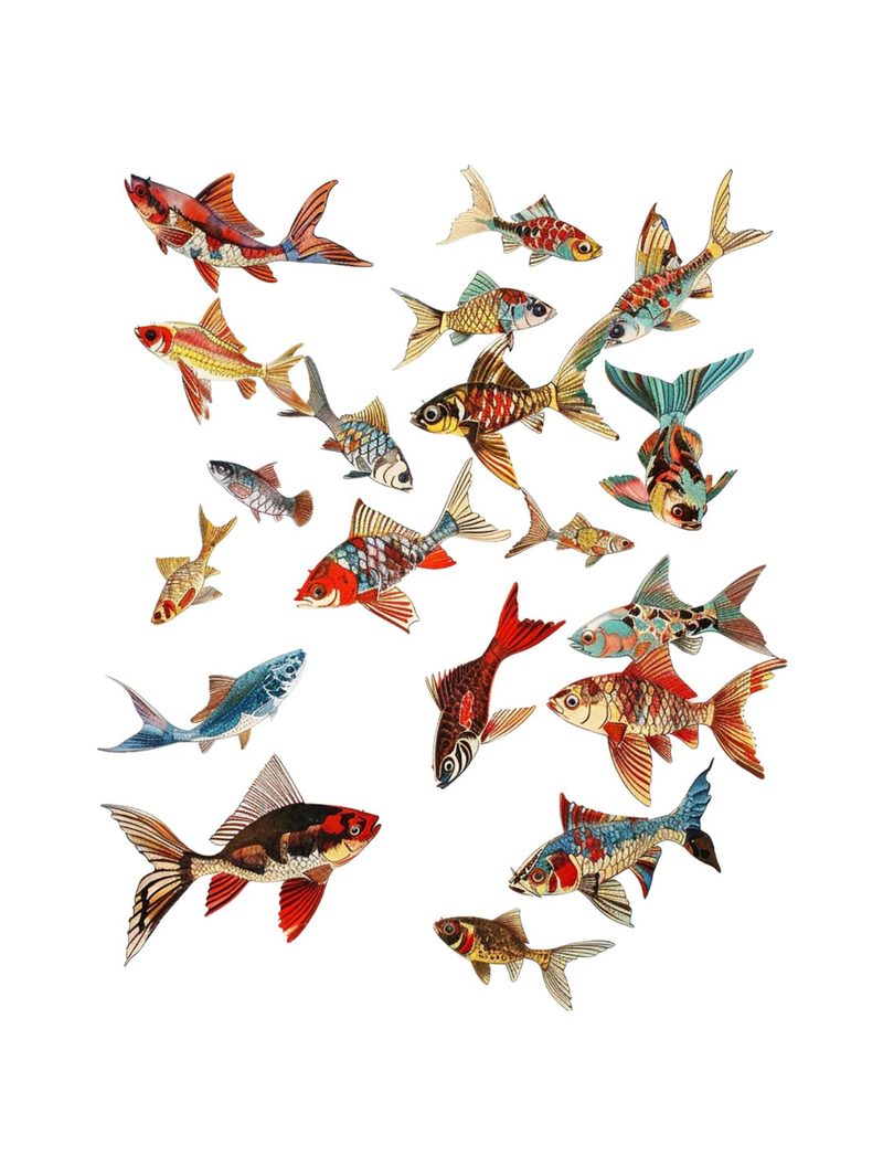 Something’s Fishy eBook page 77 — [object Object]