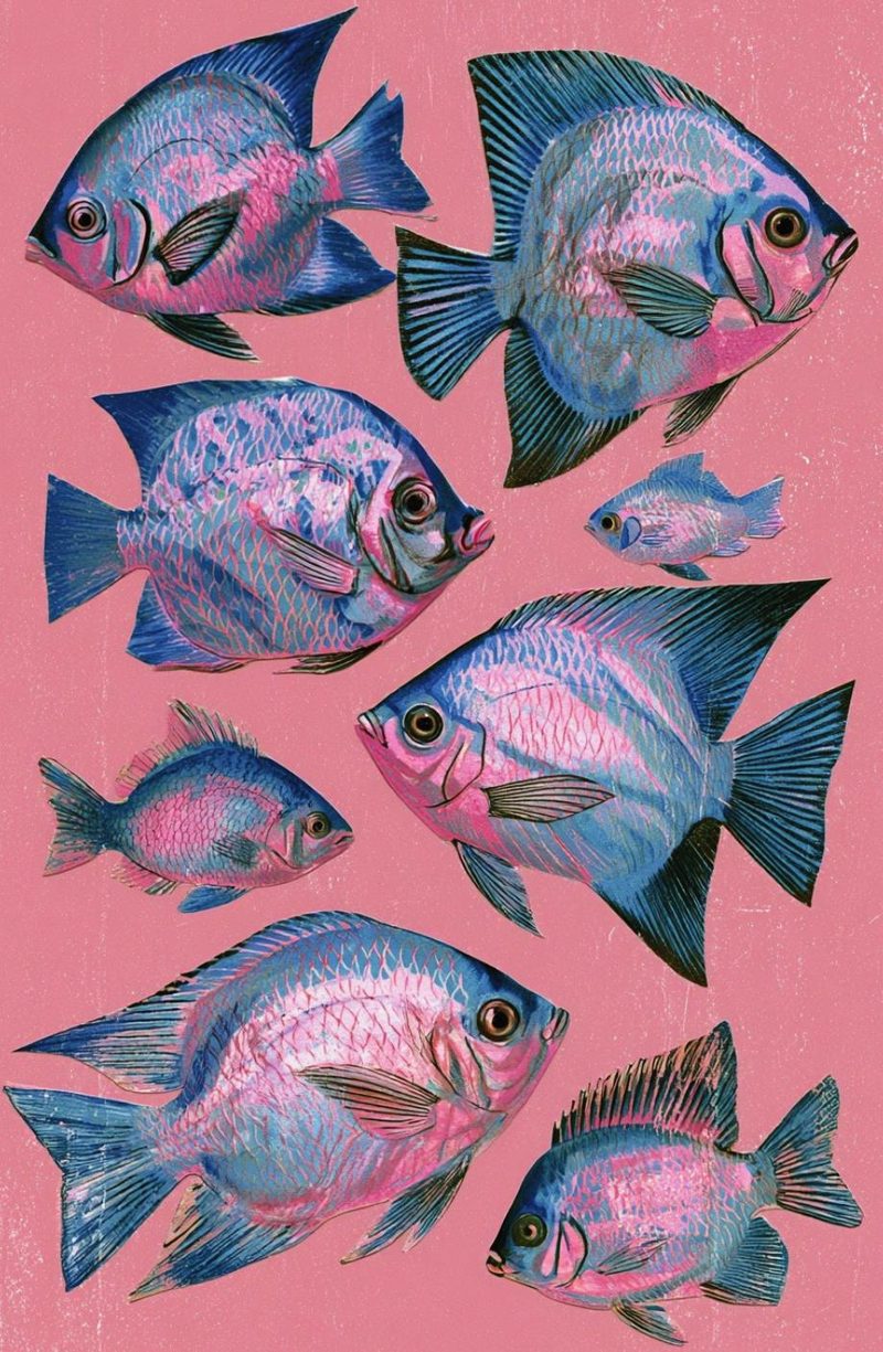 Start Here: A Beginner's Guide to Collage & Mixed Media eBook page 25 — [object Object]