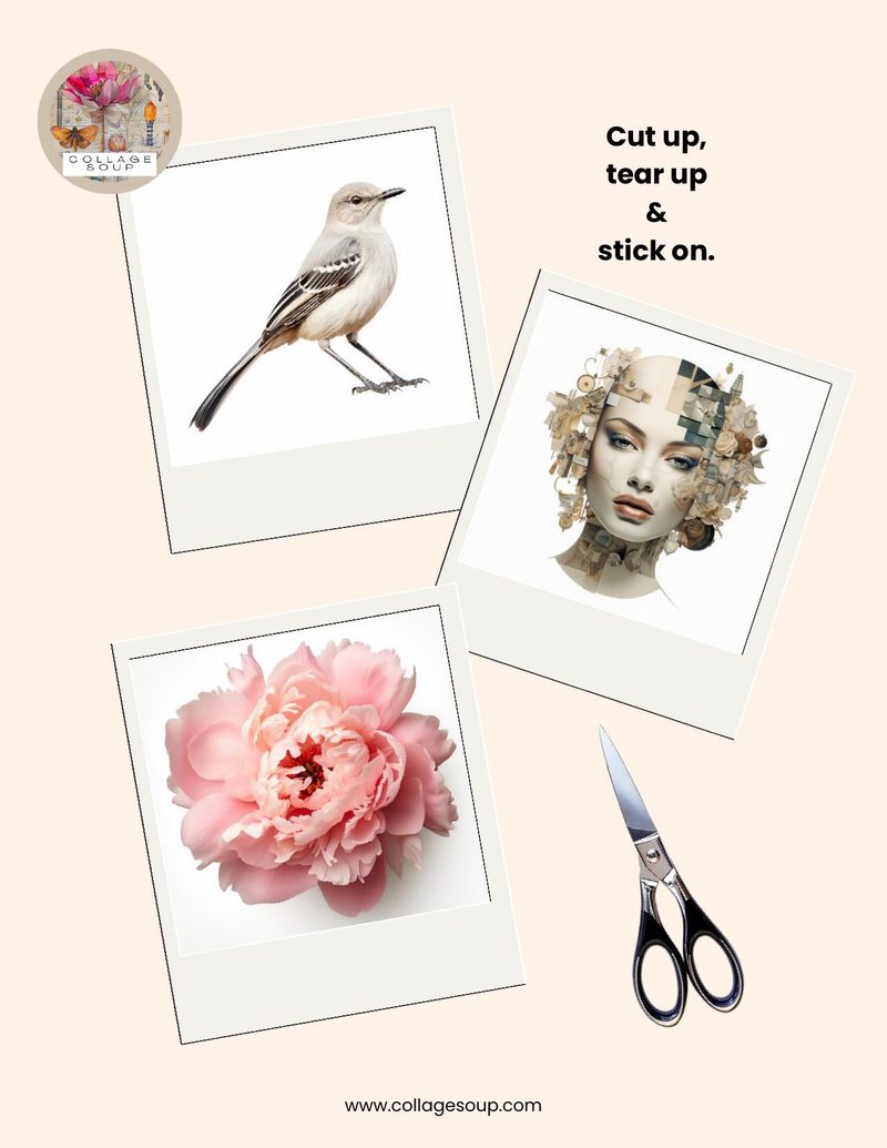 Still Here Free Collage Image Collection page 1 — [object Object]