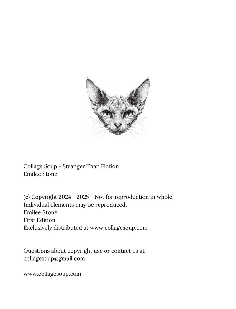 Stranger Than Fiction eBook page 2 — [object Object]