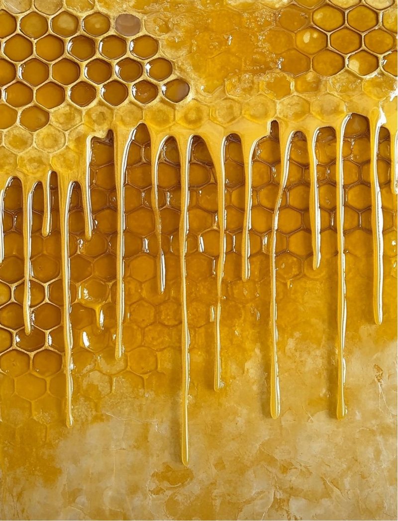 The Bees Knees eBook page 48 — [object Object]