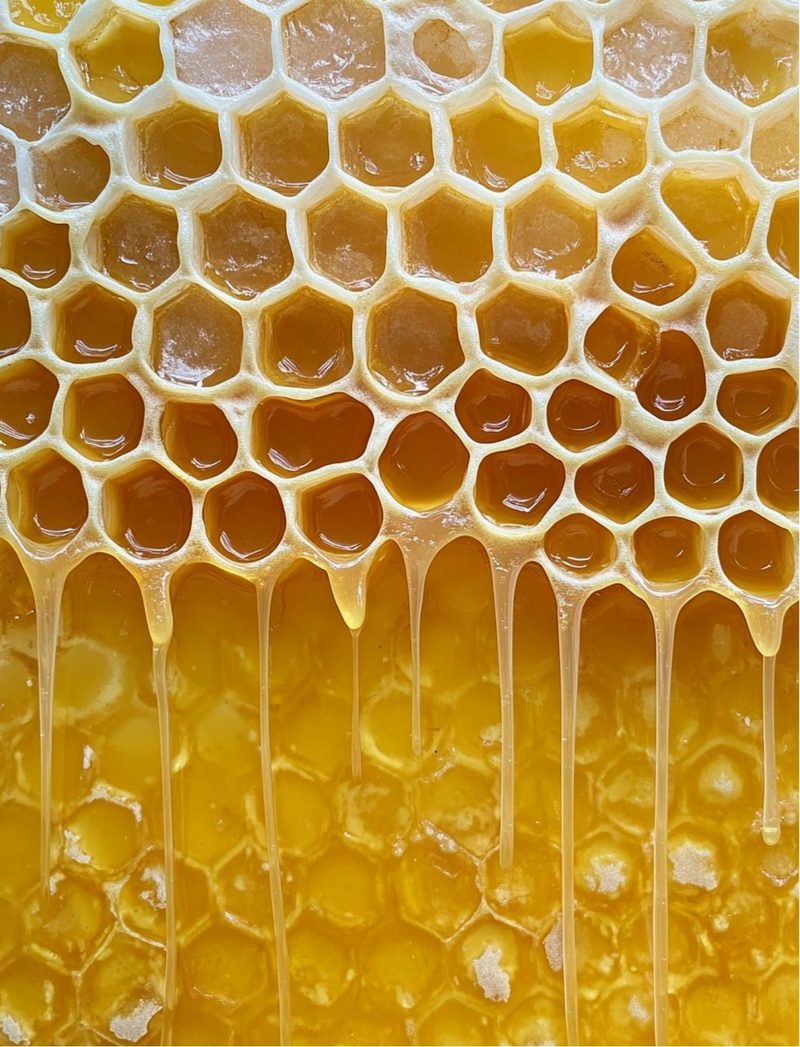 The Bees Knees eBook page 52 — [object Object]