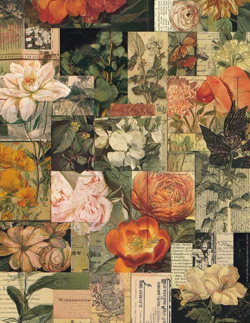 The Collagist’s Way eBook page 43 — [object Object]
