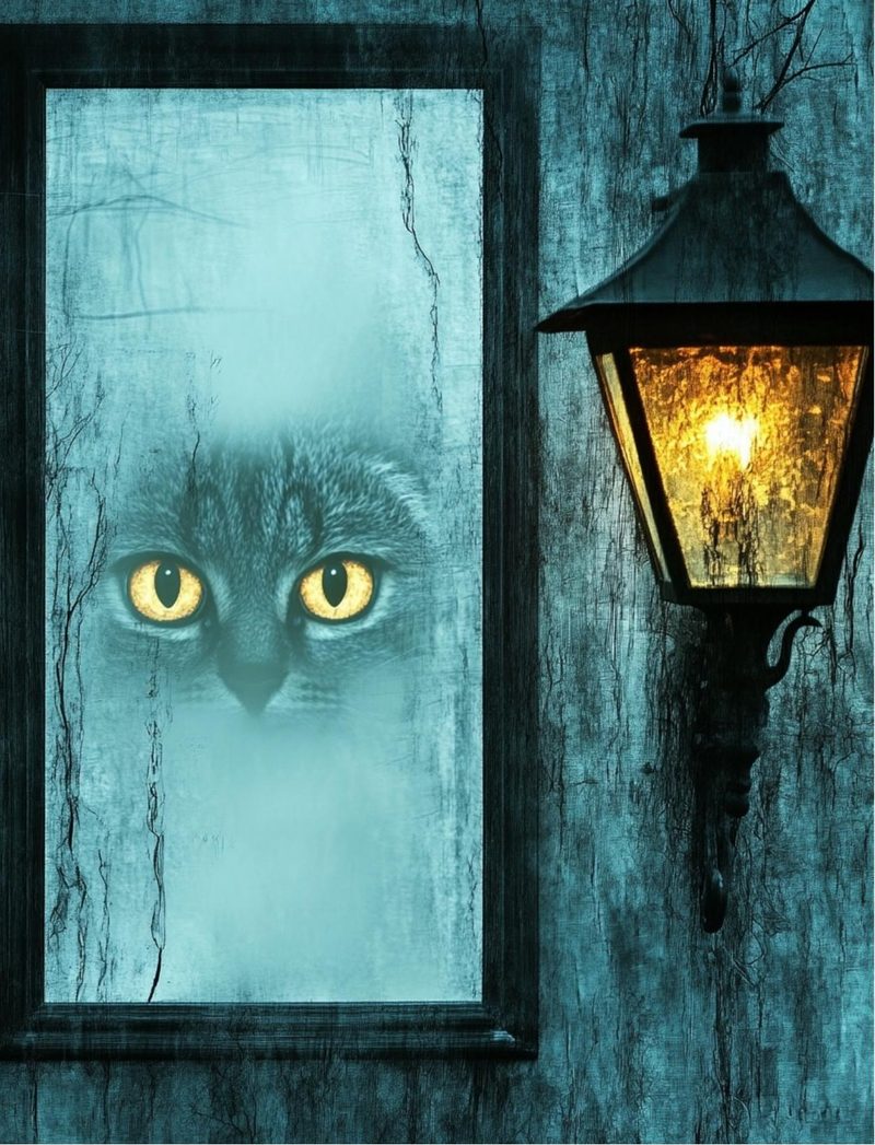 The Street Oracle eBook page 80 — [object Object]