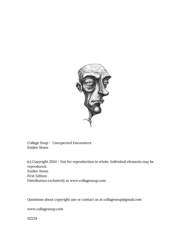 Unexpected Encounters eBook page 2 — [object Object]