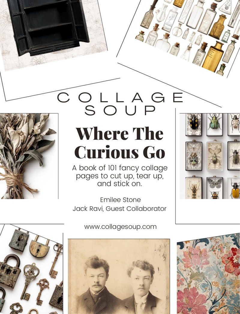 Where the Curious Go eBook page 1 — [object Object]