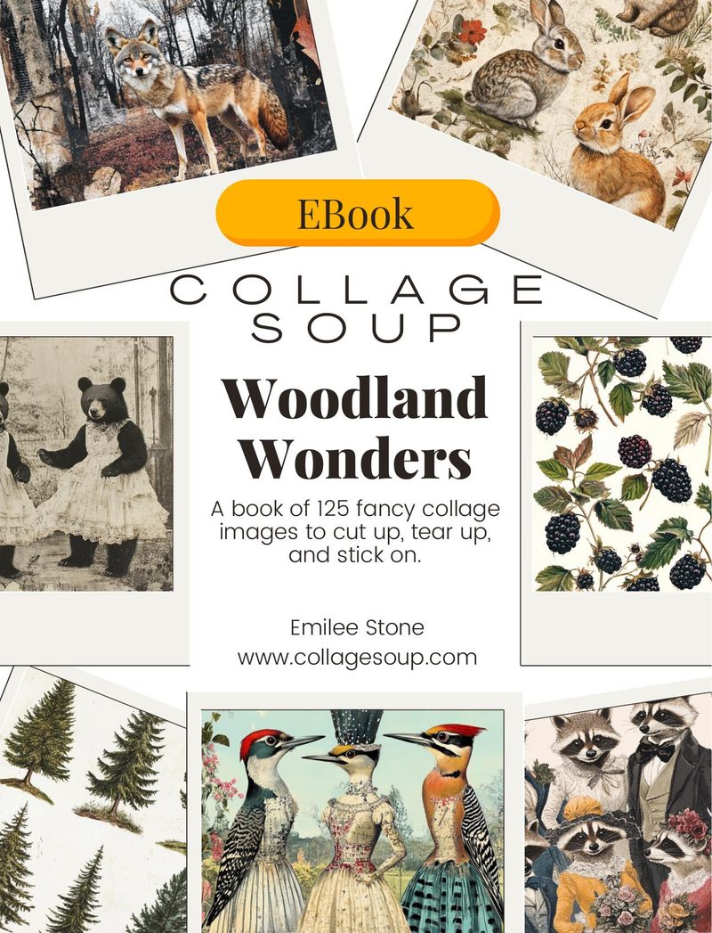 Woodland Wonders eBook page 1 — [object Object]