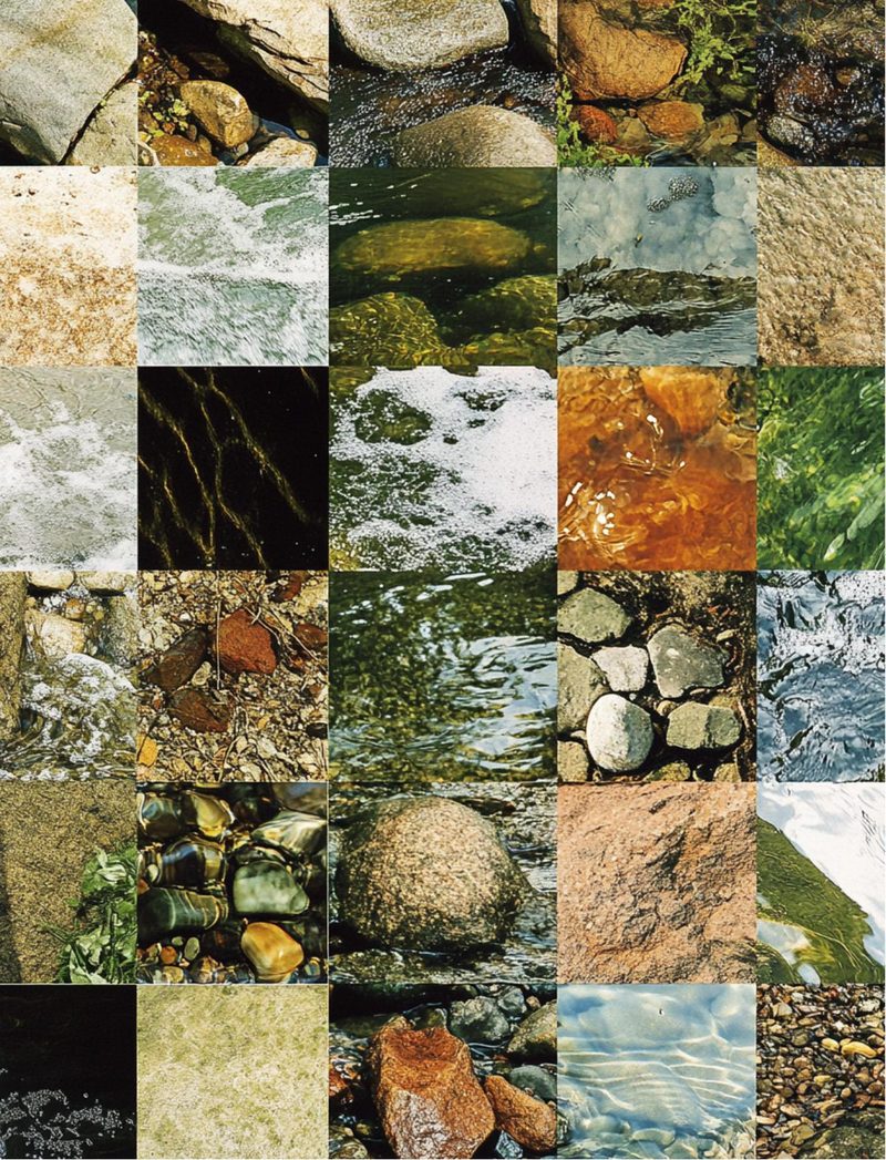 Woodland Wonders eBook page 100 — [object Object]