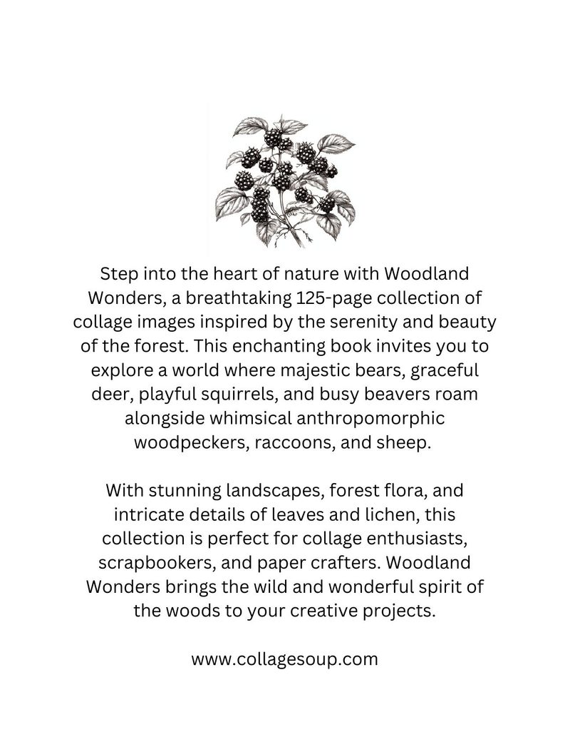 Woodland Wonders eBook page 136 — [object Object]
