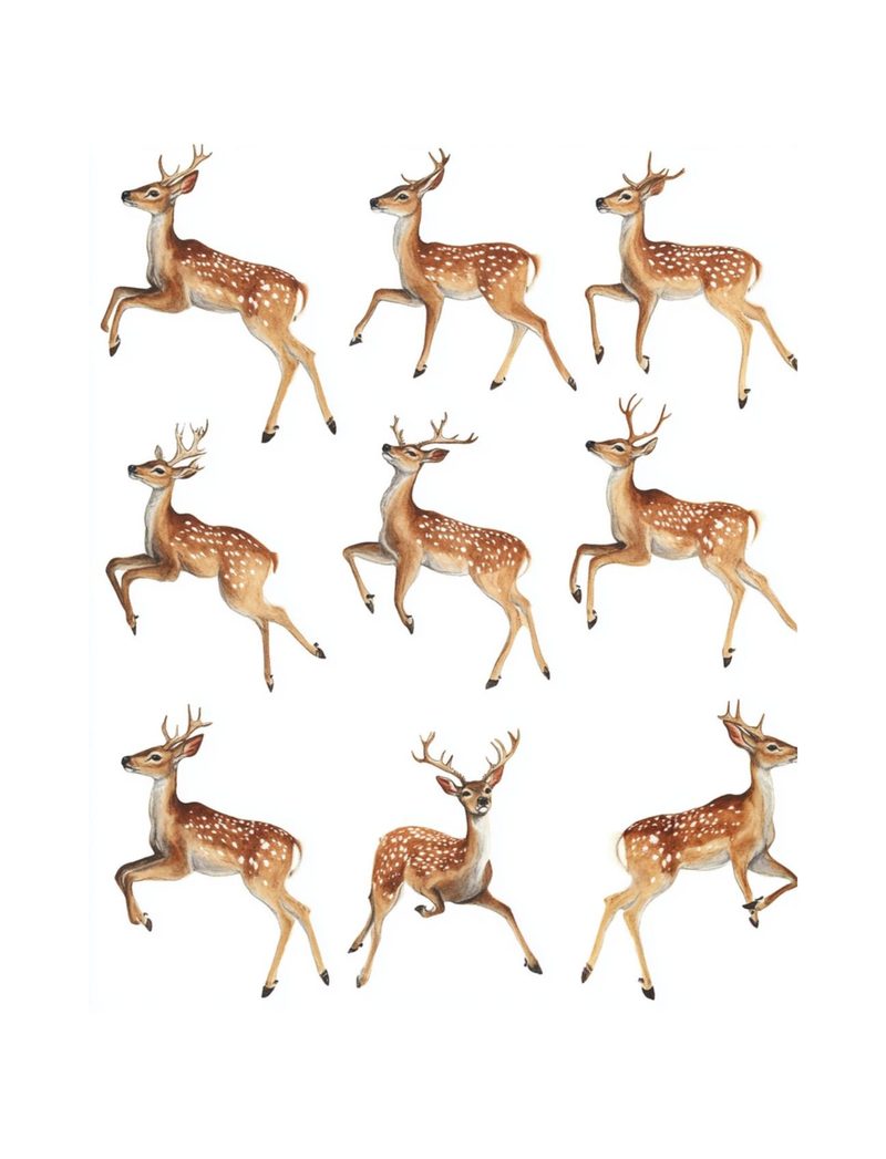 Woodland Wonders eBook page 23 — [object Object]