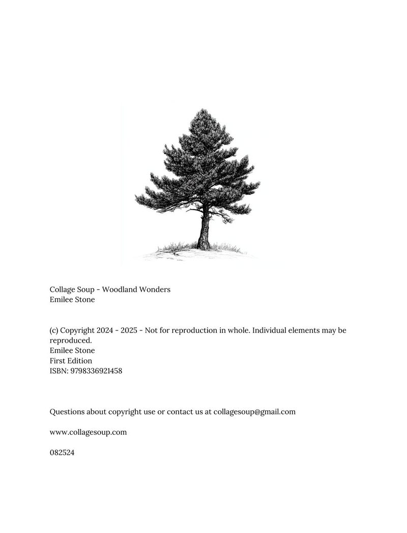 Woodland Wonders eBook page 3 — [object Object]