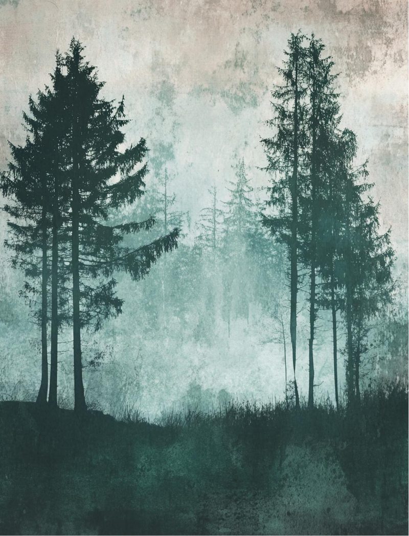 Woodland Wonders eBook page 34 — [object Object]