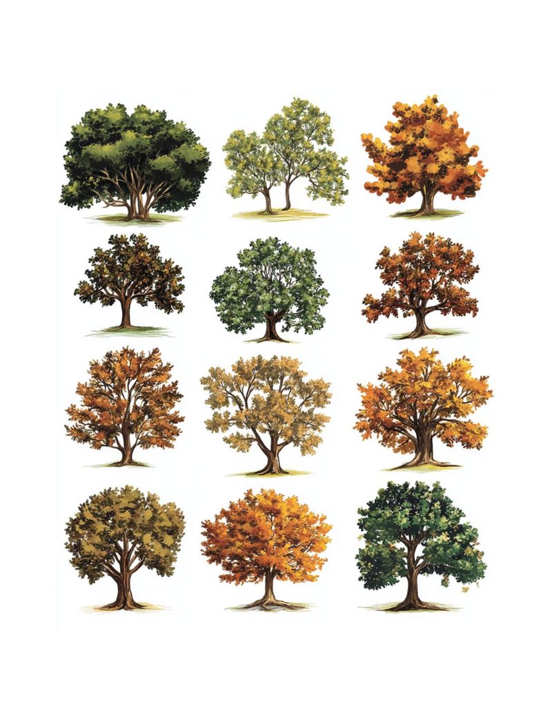 Woodland Wonders eBook page 74 — [object Object]
