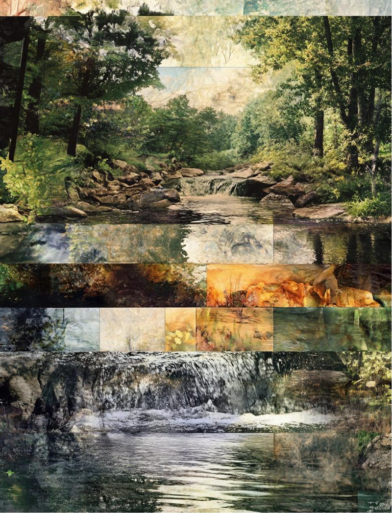 Woodland Wonders eBook page 98 — [object Object]